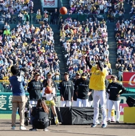 阪神タイガース ファン感謝デー 2019: ばあば（茶々）のひとりごと