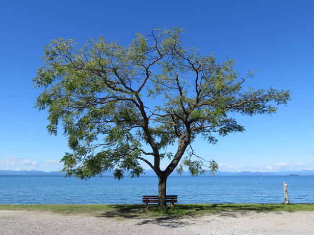 琵琶湖のあのベンチ.jpg