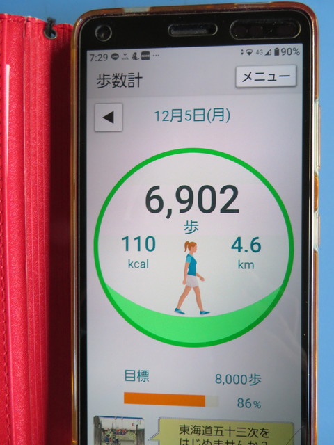 006.JPG