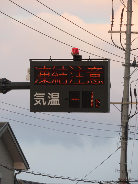 006.JPG
