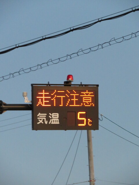 009.JPG