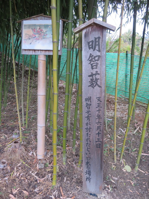 光秀ウォーク３ 004.JPG