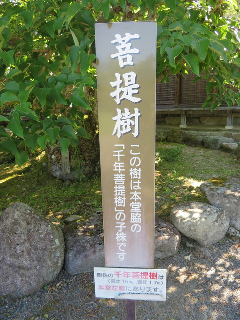 百済寺 004.JPG