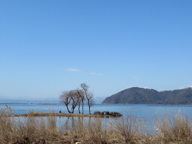 野鳥センター前.jpg