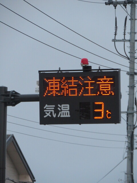 IMG_7943.JPG
